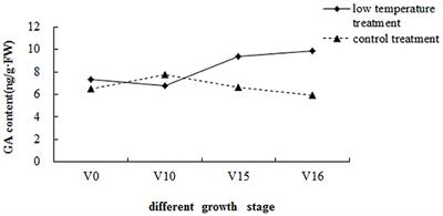 Genetic Regulation of GA Metabolism during Vernalization, Floral Bud Initiation and Development in Pak Choi (Brassica rapa ssp. chinensis Makino)